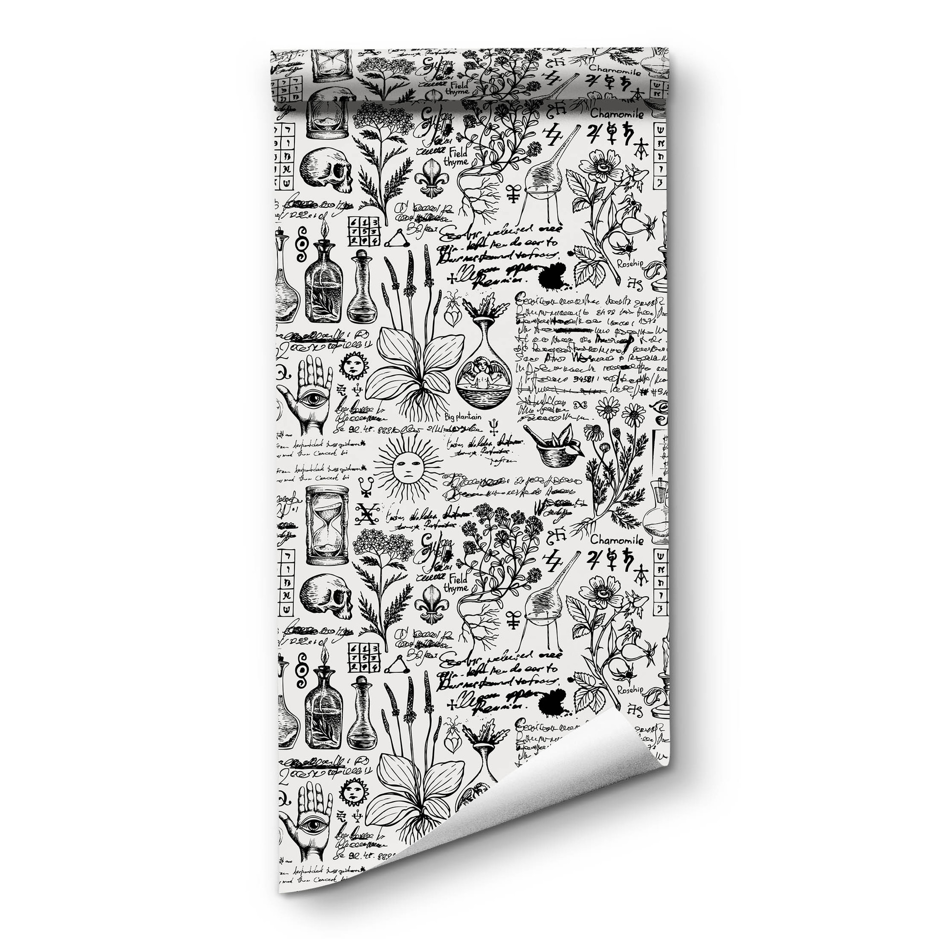 Herbal Wallpaper - Black White Peel and Stick Wallpaper