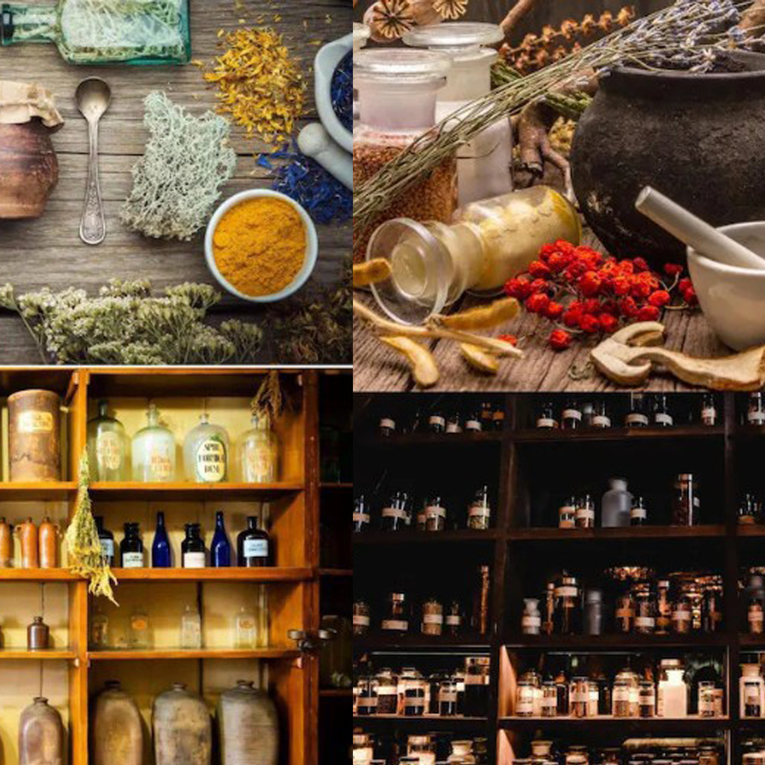1000+ Forgotten Apothecary Rec - Herbal Wellness Remedy 评论和价格