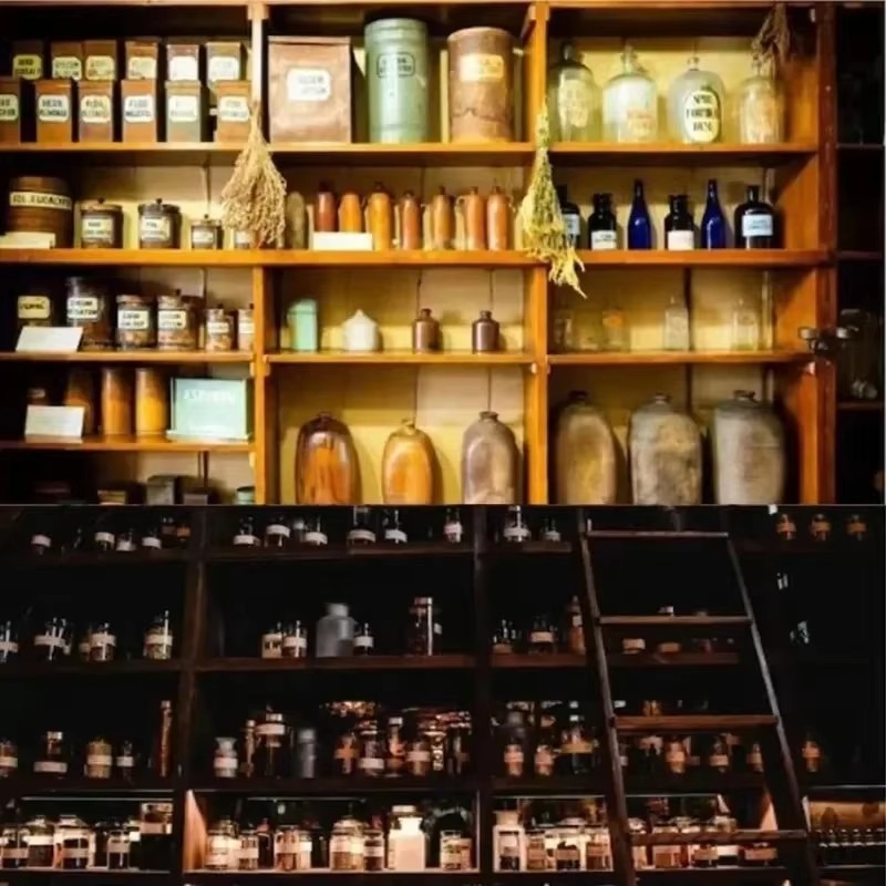 The Holistic Home Apothecary 1 - Herbal Wellness Remedy 评论和价格