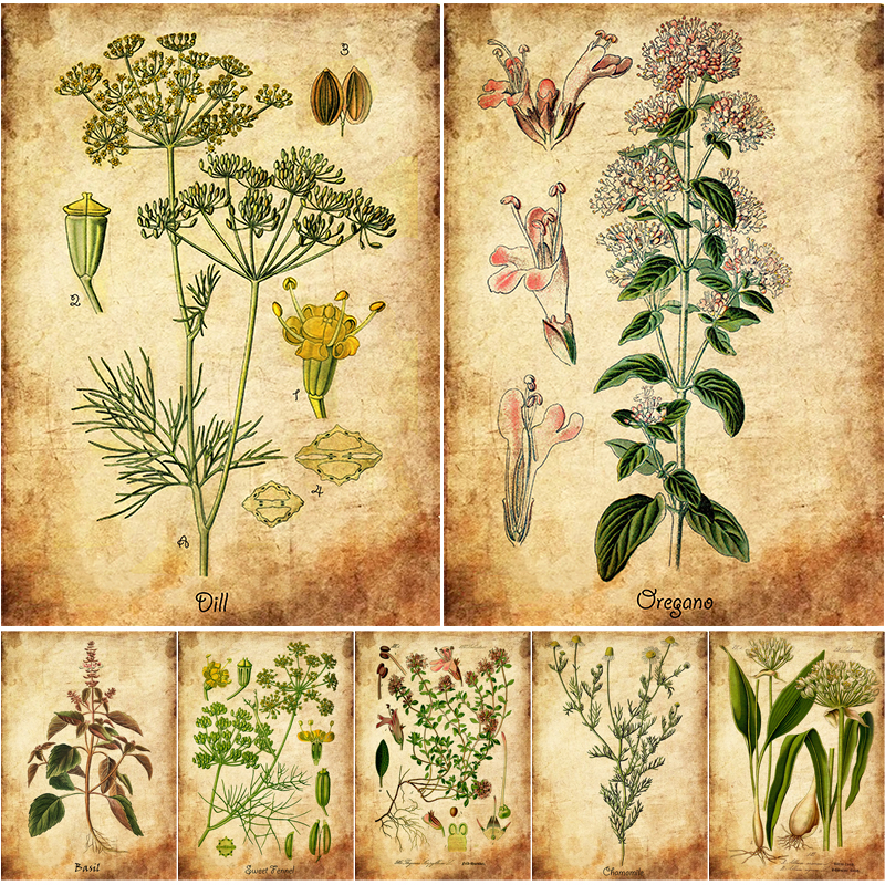 Herb Flowers Retro Poster Vint - Herbal Wallpaper 评论和价格