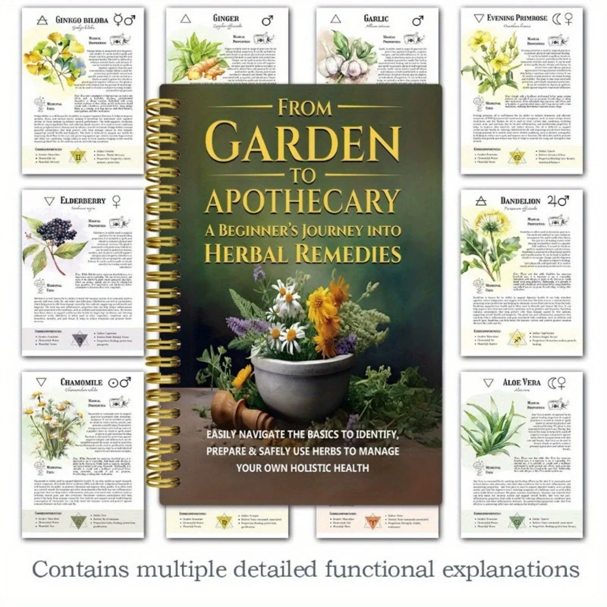 From Garden To Apothecary A Be - Herbal Wellness Remedy 评论和价格